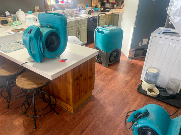 Best Flooded house restoration  in Merrifield, VA