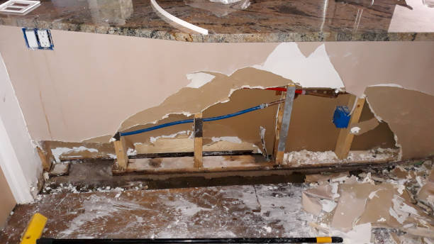 Best Carpet water damage restoration  in Merrifield, VA
