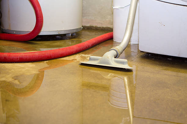 Best Flood restoration services  in Merrifield, VA
