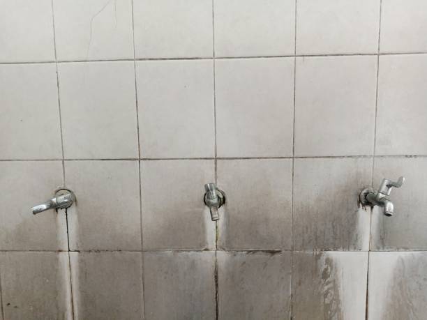 Best Water damage restoration near me  in Merrifield, VA