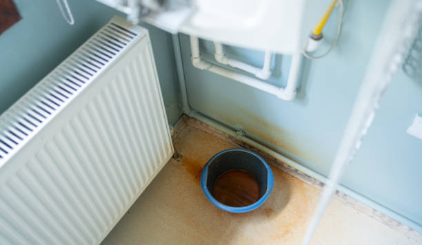 Best Mold removal after water damage  in Merrifield, VA