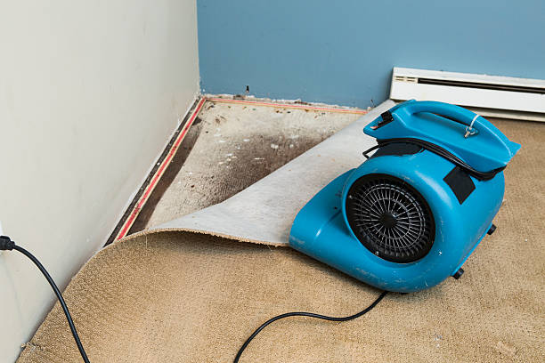 Best Sewage cleanup and water damage restoration  in Merrifield, VA